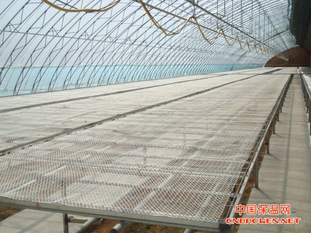 温室苗床网，花卉苗床网，育苗网床，护栏网，体育围网,勾花网