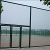 运动场围网，运动场围栏，护栏网，苗床网，体育围网