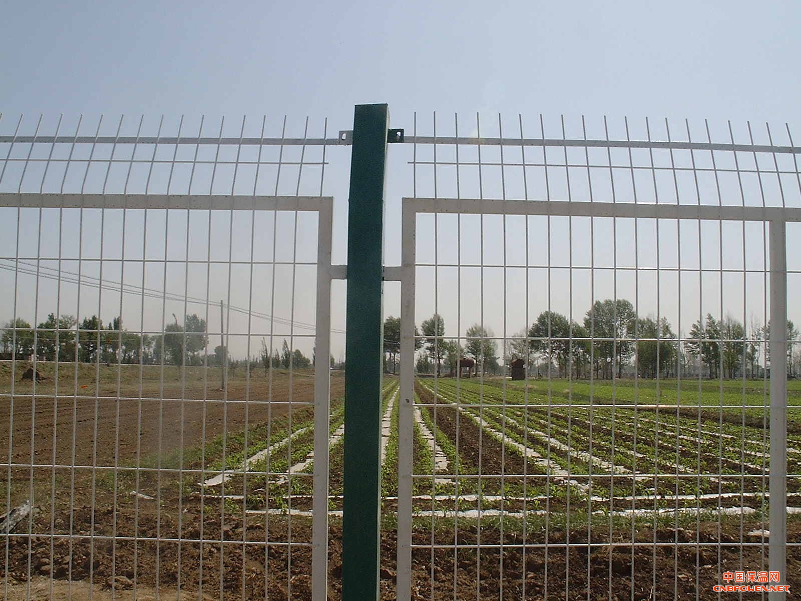 小区护栏网，苗床网，体育围网,勾花网，刀片刺绳