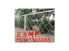 供应美格防护网 镀锌美格网 铁路护栏网 建筑防护网图1