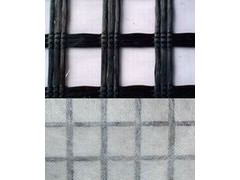 玻璃纤维土工格栅F'GRID图1
