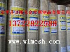 南京热镀锌钢丝网，外墙保温网,网格布，保温钉图3