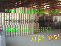 江苏热镀锌钢丝网,电焊网,荷兰网,浸塑网,安平万隆生产图2