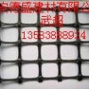 优质双向塑料格栅销售价格，优质双向塑料格栅供应价格