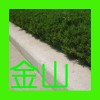 五莲红剁斧面路边石,我要金山五莲红剁斧面路边石