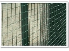 广东省热镀锌电焊网图3