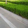 五莲花路牙石，路牙石，五莲红路牙石