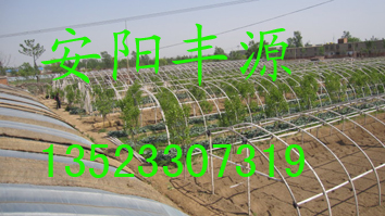 无支柱花卉大棚支架机，蔬菜大棚骨架机，安阳丰源农业