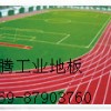 东莞PVC运动场.球场.跑道地坪