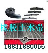 止水带 橡胶止水带 遇水膨胀橡胶止水带