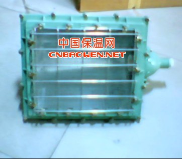 JBAT-F隔爆型泛光灯，BAT52防爆泛光灯