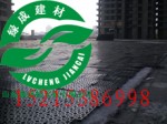 泰山建材供应直销湖南排水板湖南土工膜