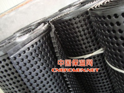 专业排水板-山东永立