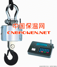 2吨直视吊秤,鞍山吊秤价格,15吨电子吊钩秤,20吨行车吊磅