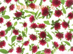 鑫国彩饰软膜天花 喷绘天花 艺术造型天花 
