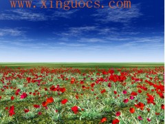 鑫国彩饰软膜天花 喷绘天花 艺术造型天花 
