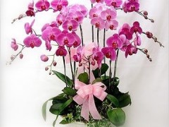 鑫国彩饰软膜天花 喷绘天花 艺术造型天花 
