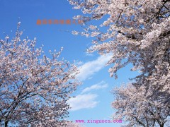 鑫国彩饰软膜天花 喷绘天花 艺术造型天花 
