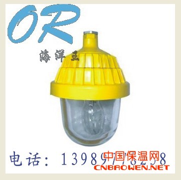 海洋王 防爆平台灯 BPC8720