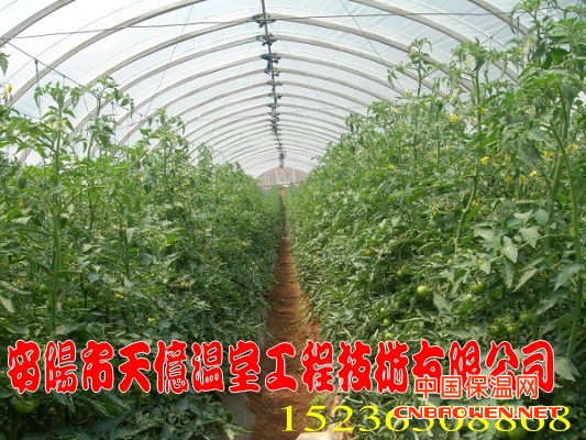 多功能大棚骨架机无支架大棚  无支柱大棚 骨架 天亿温室工程