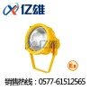 <BTC8200>亿雄产品BTC8200防爆投光灯