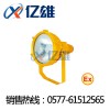 “BTC6210”我们只专注照明BTC6210防爆投光灯
