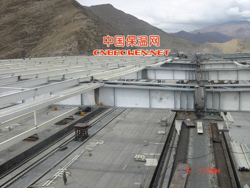 大跨度钢结构全钢结构工程