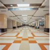 PVC塑胶地坪加兴