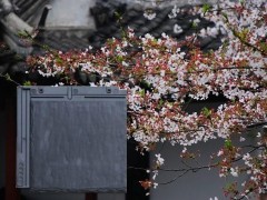 仿天然石板瓦