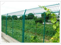 护栏网 防护栏 防护网 防盗网 安平防护网图1