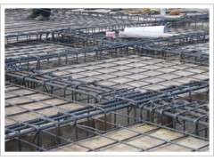 刺绳 安平刺绳 平织网 安平窗纱 安平围栏网图1