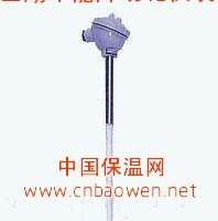 供应高温贵金属铂铑热电偶