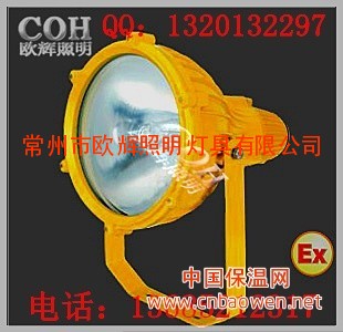 BTC8210防爆投光灯