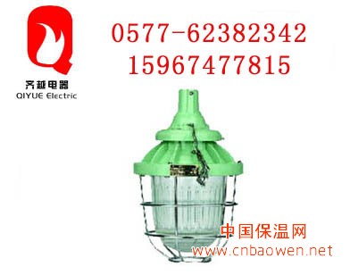 隔爆型防爆灯,荧光灯,障碍灯,报警器,警示灯