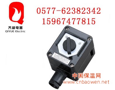 CBZM8060系列防爆防腐照明开关.照明开关.开关