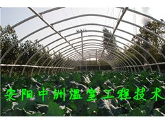 上海大棚骨架机图1