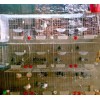 鸽笼∣鸽子笼厂∣肉鸽笼∣贵州鸽笼厂∣鸽笼价格∣子母兔笼