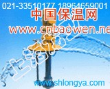 100FYB-50-1.5米深不锈钢柴油液下泵