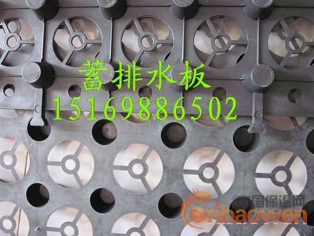 供应屋顶花园绿化蓄排水板