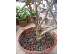 东莞宏通达陶粒制品厂，AA级品牌企业，惠州陶粒价格图3