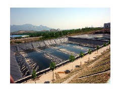 养藕池专用PE土工膜，泰安永立最可靠！图3