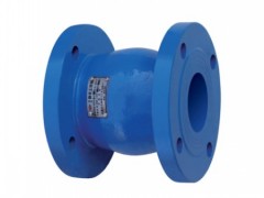 <东光阀门》不锈钢 《碳钢》止回阀 保温止回阀图3