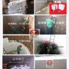 湖南湖北广东隧道窑用耐火材料陶瓷纤维模块金属锚固件
