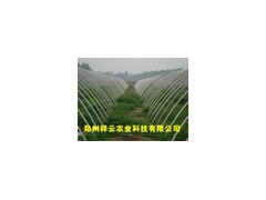 供应全自动多功能大棚骨（支）架机图2