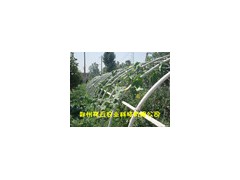 供应钢管镀塑温室大棚  大棚骨架机图2
