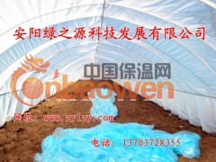 安阳市绿之源科技发展有限公司终于研制出一种价格低廉，适合我国国情的新型无机复合材料的大棚支架，它表面光滑如镜、耐腐蚀、抗老化，使用寿命在15年以上。