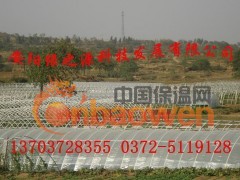 安阳市绿之源科技发展有限公司终于研制出一种价格低廉，适合我国国情的新型无机复合材料的大棚支架，它表面光滑如镜、耐腐蚀、抗老化，使用寿命在15年以上。