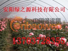 安阳市绿之源科技发展有限公司终于研制出一种价格低廉，适合我国国情的新型无机复合材料的大棚支架，它表面光滑如镜、耐腐蚀、抗老化，使用寿命在15年以上。