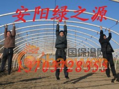 大棚骨架机单位：河南省安阳市绿之源科技发展有限公司
地址：河南省安阳市安阳大厦608（室） 
邮编：455000
网址：www.aylzy.com            E—mail：aylzy000@163 .com
联系人：高先生                 电话：0372—5119128  
手机： 13703728355  传真：0372—5119128
