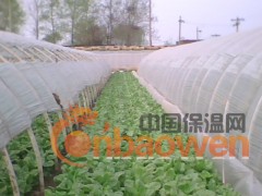 蔬菜大棚骨架机